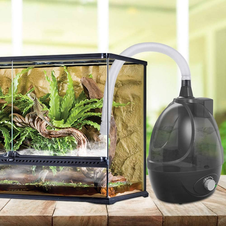 Humidifier product picture next to glass enclosure