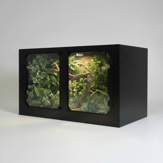 Black snake terrarium with green plants on a white background