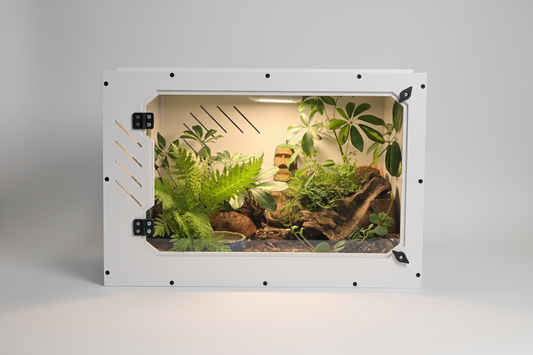 Tortoise terrarium with plants and a tortoise inside on a gray background