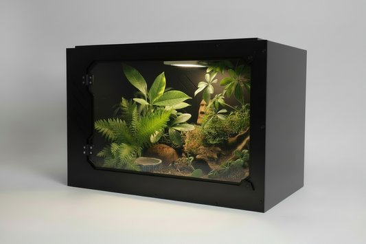 Small terrarium with plants and rocks inside a black frame on a gray background