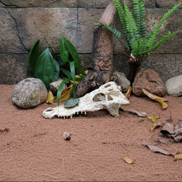 Nomoy NS-72 Crocodile Skull