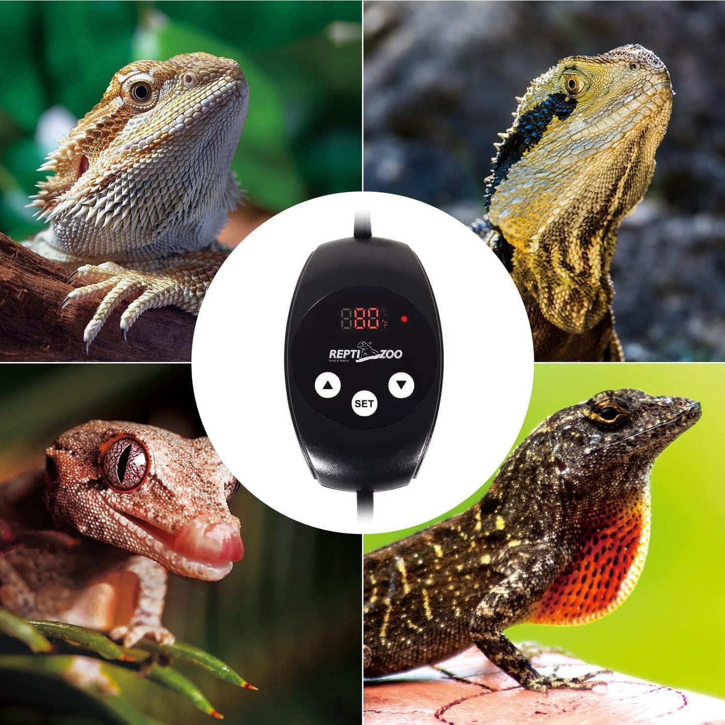 PID Dimming Thermostat, reptile thermostat,