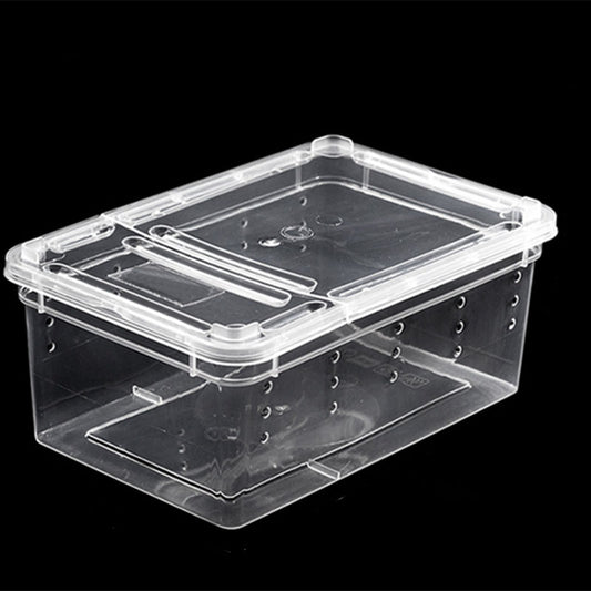 Clear breeding tub for crested geckos