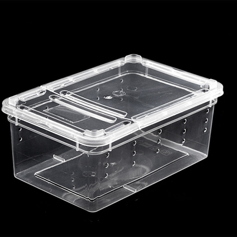 Side profile showing depth and shape