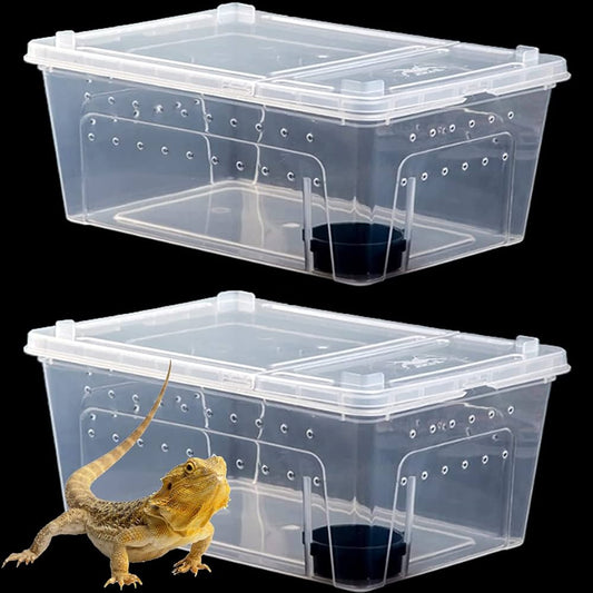 Clear breeding tub for crested geckos