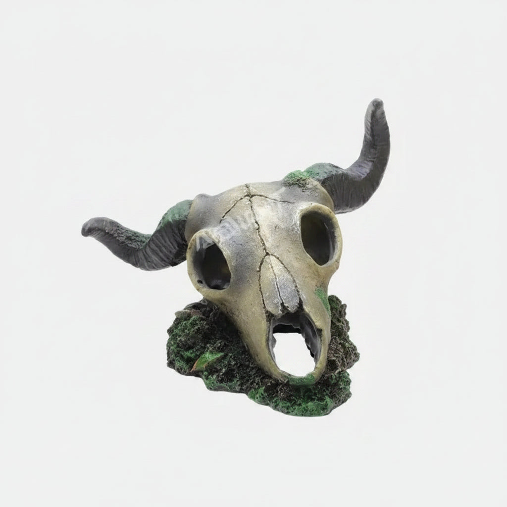 Nomoy NS-125 Resin sheep skull hide