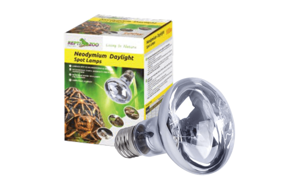White basking bulb for hatchling reptile enclosure