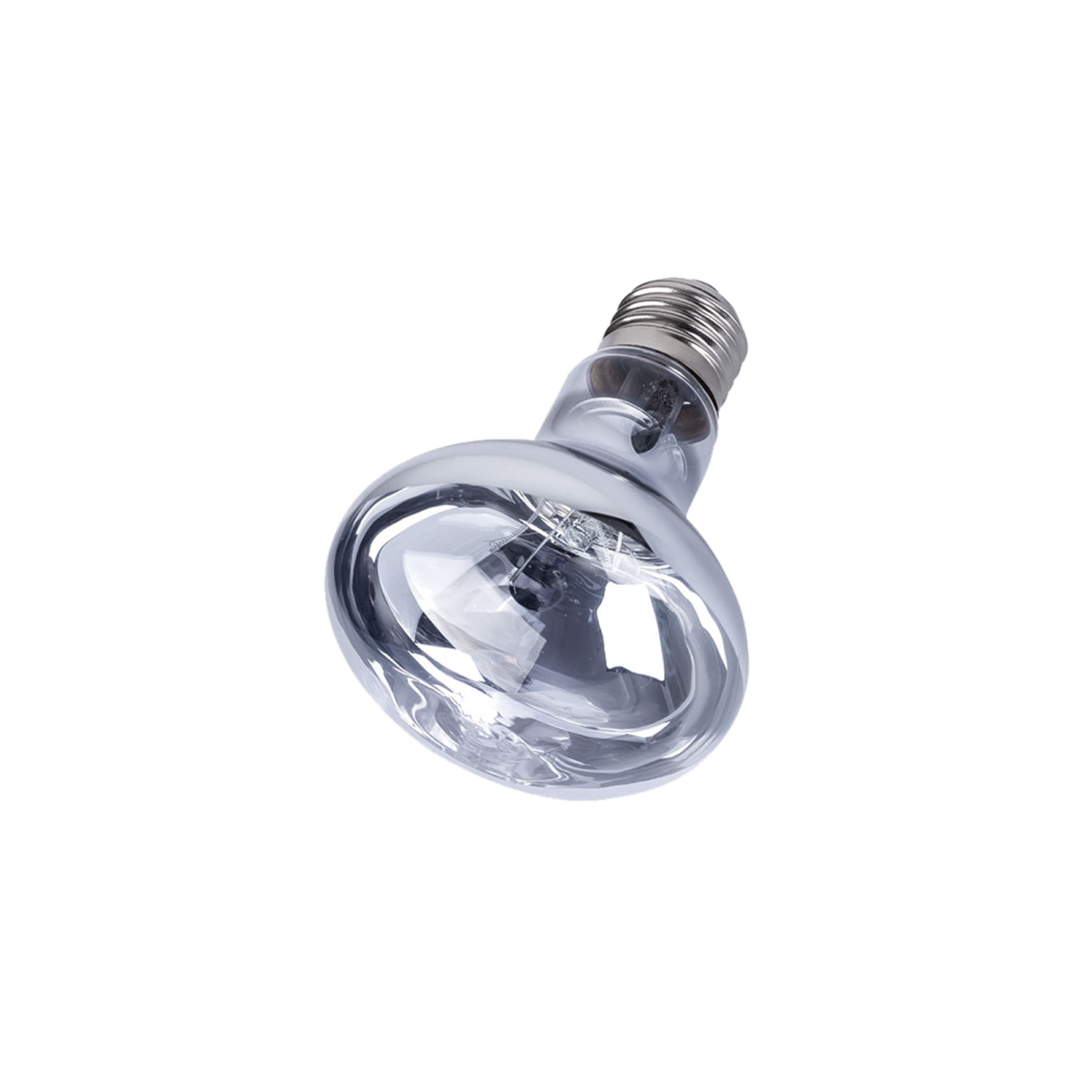 White basking bulb for hatchling reptile enclosure