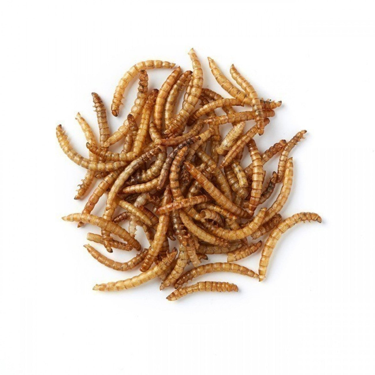 dried mealworms ready for feeding