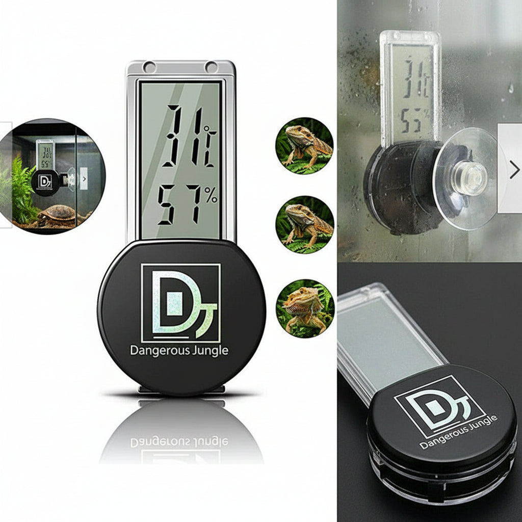 LCD thermometer hygrometer mounted inside terrarium