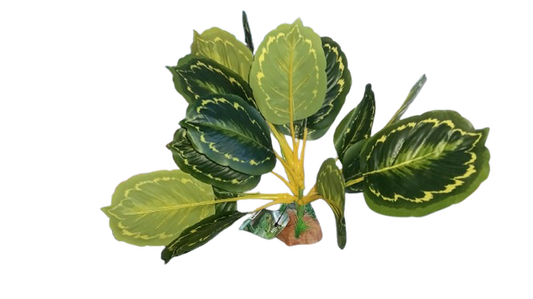 JBY004 simulation plant