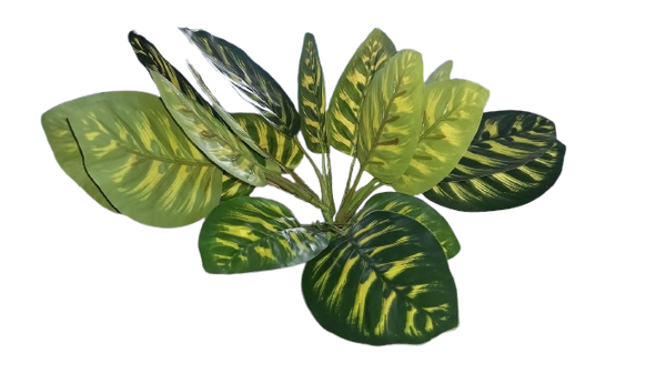 JBY005 simulation plant