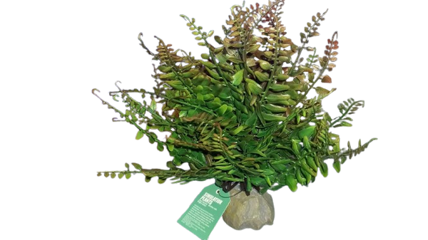 JBY008 simulation plant