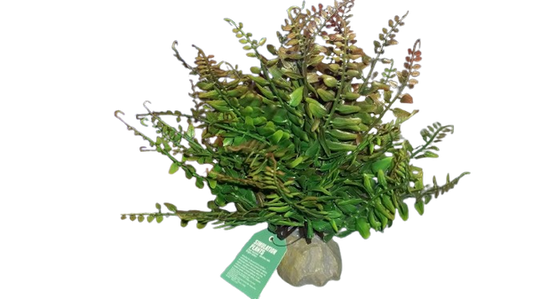 JBY008 simulation plant