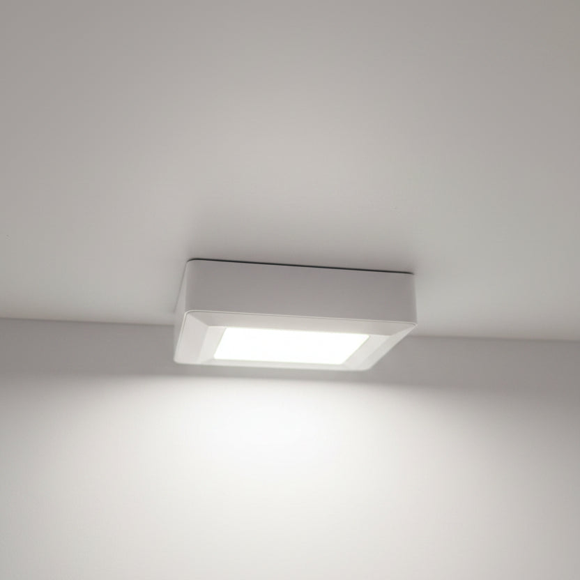 LED square lighting for enhanced reptile enclosure visibility