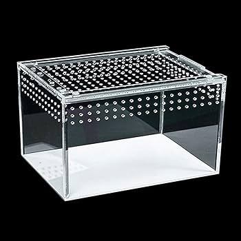 Magnetic acrylic reptile box with lid closed