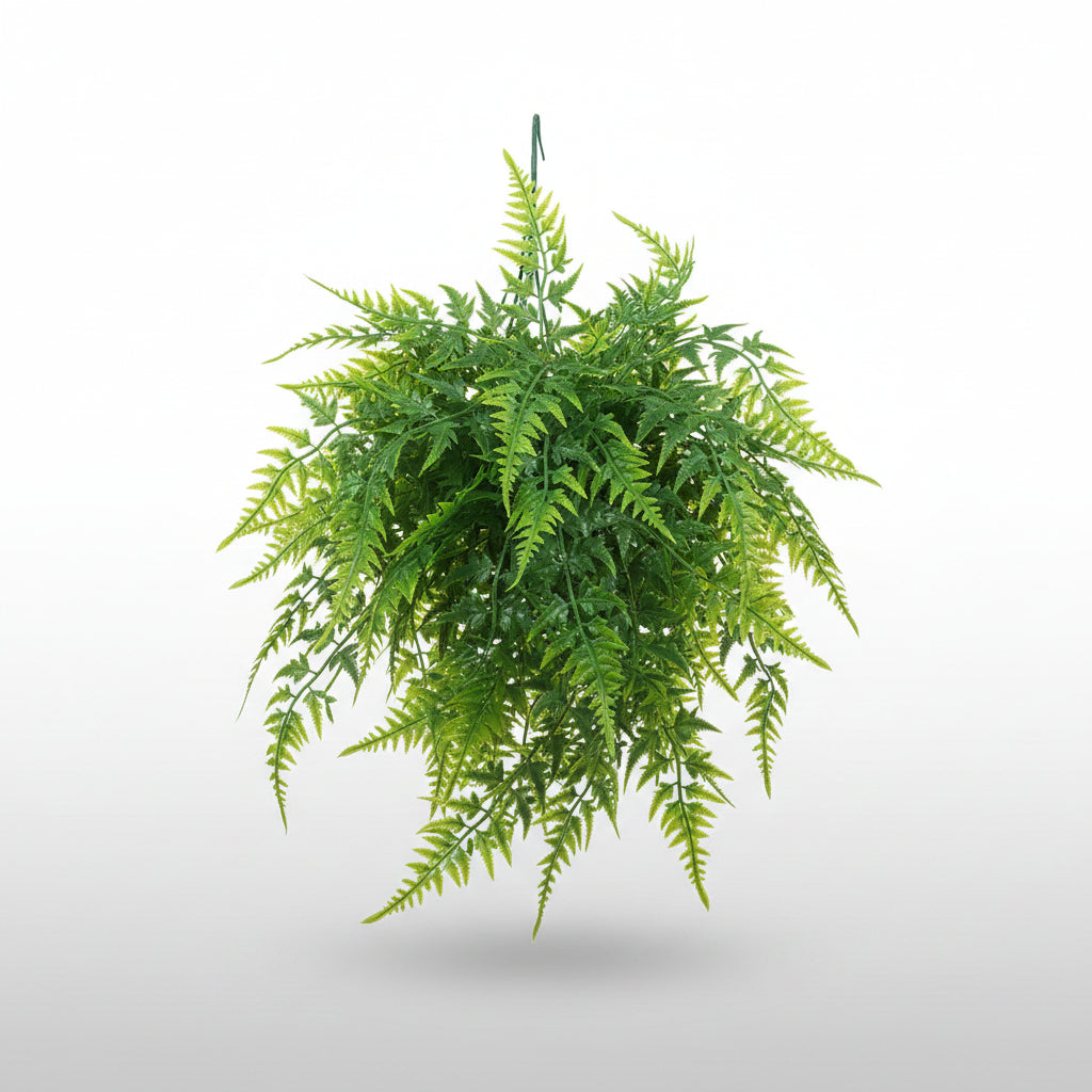 Nomoy NFF-105 hanging plant