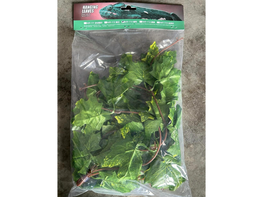 Nomoy NFF-113 hanging plant