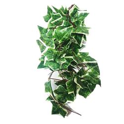 Nomoy NFF-115 hanging plant