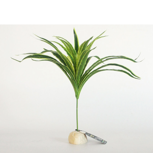 Nomoy NFF-19 broad leaf terrarium plant