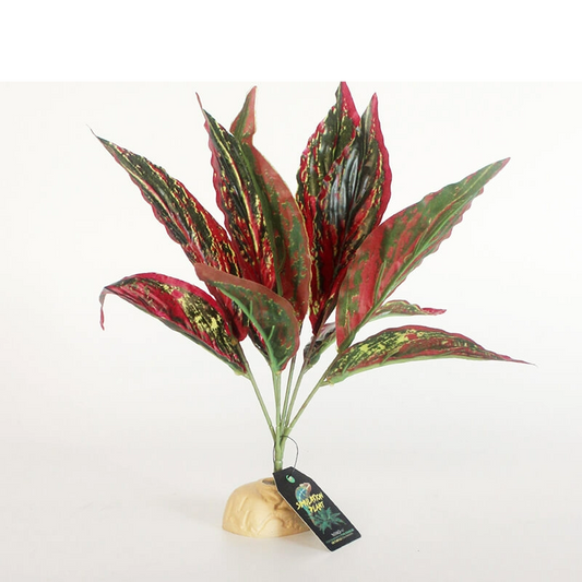 Nomoy NFF-20 vine-style plant for terrariums