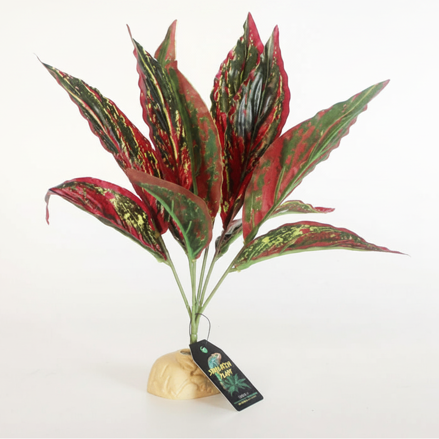 Nomoy NFF-20 vine-style plant for terrariums