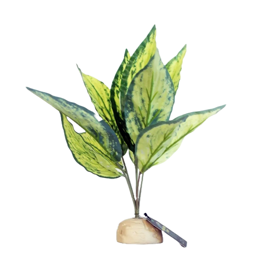 Nomoy NFF-21 broadleaf simulation plant for reptiles