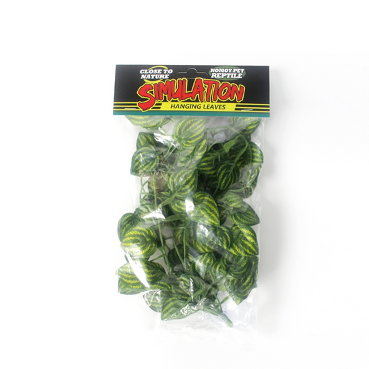 Nomoy NFF-80 hanging plant