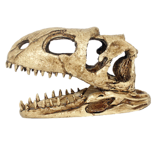 Close-up of realistic fossil details on resin skull