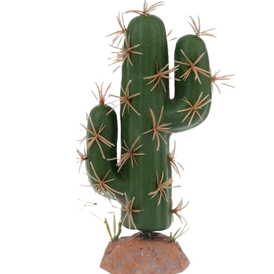 QM-39 cactus plant