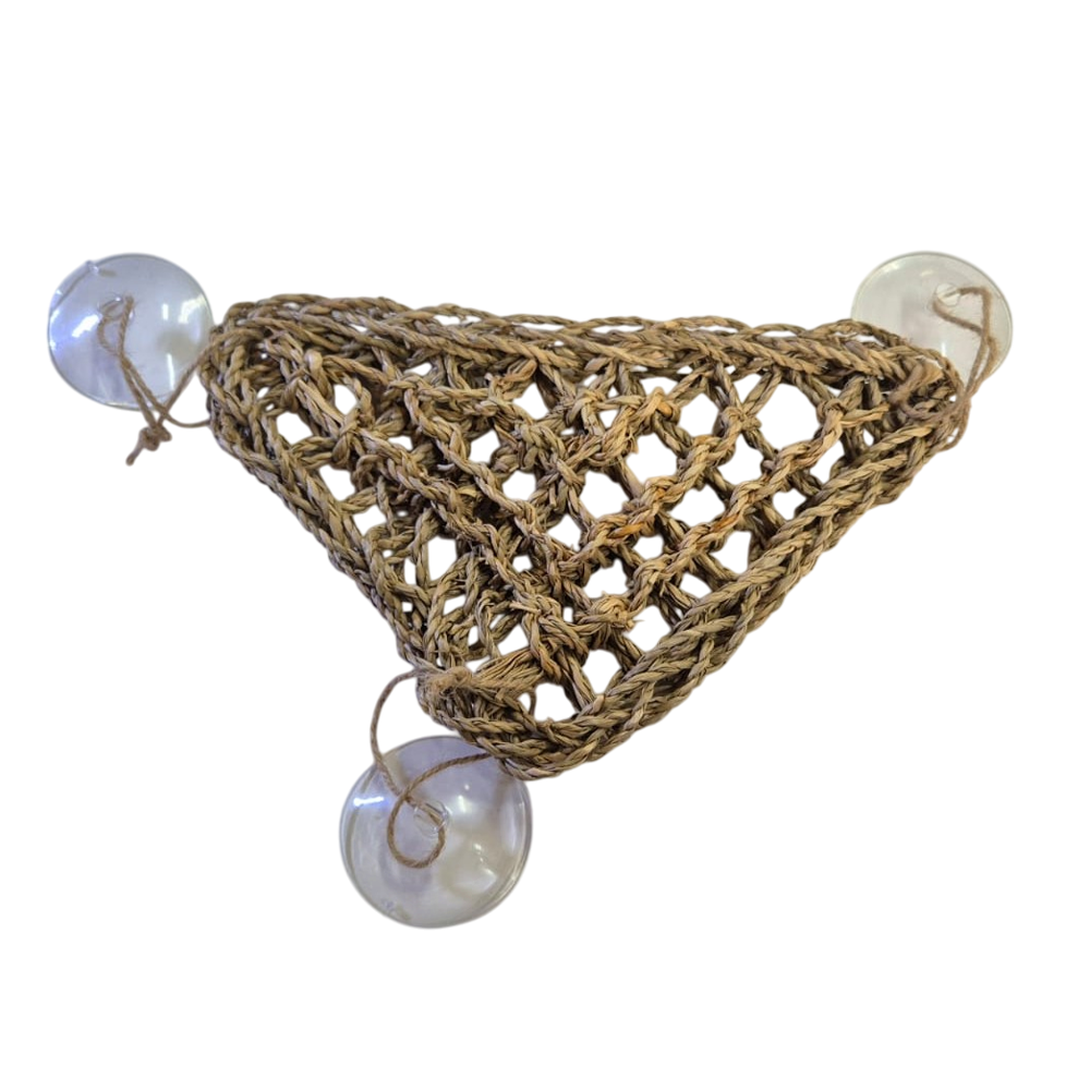 Reptile Hammock Seaweed -
