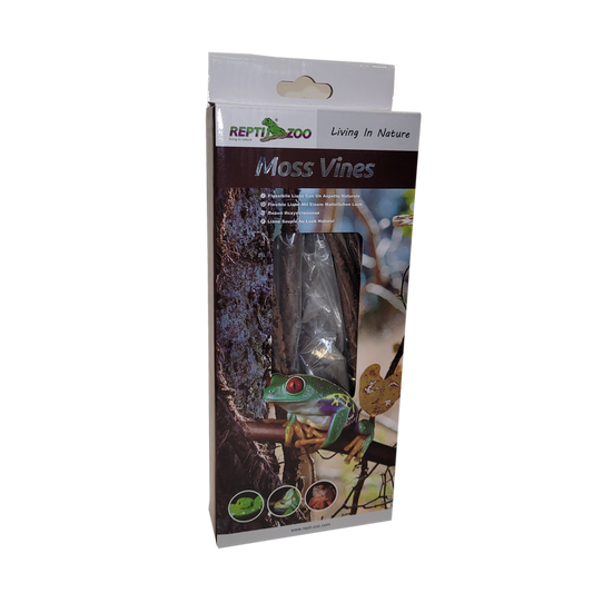 Reptizoo moss jungle vine