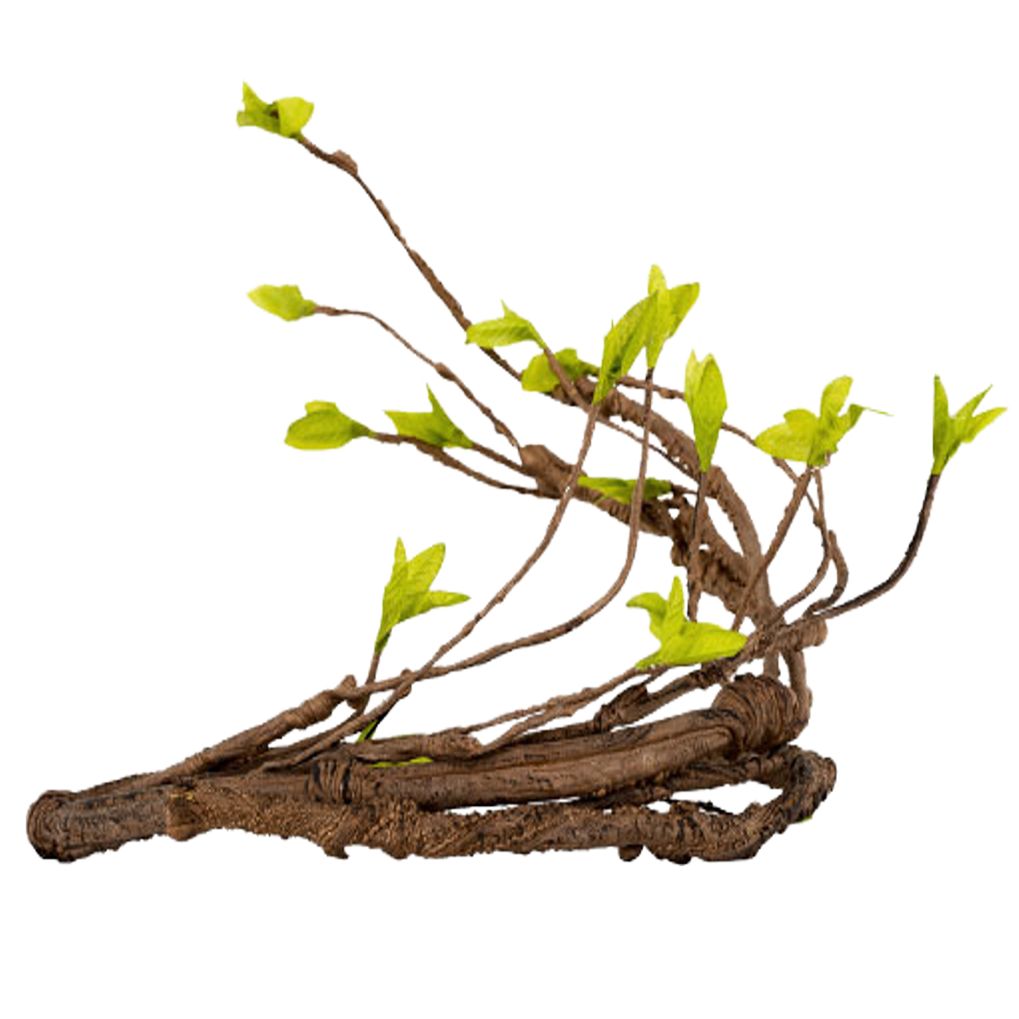 Reptizoo moss jungle vine