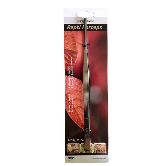 Packaged ReptiZoo Straight Forceps – 25cm