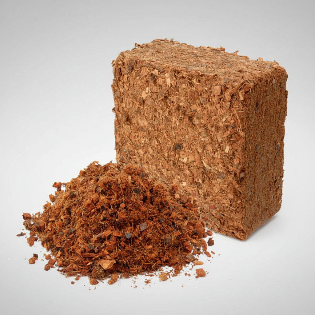 Close-up of substrate texture for digging reptiles