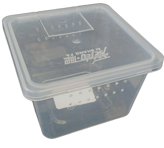 H1-L large clear reptile boxes