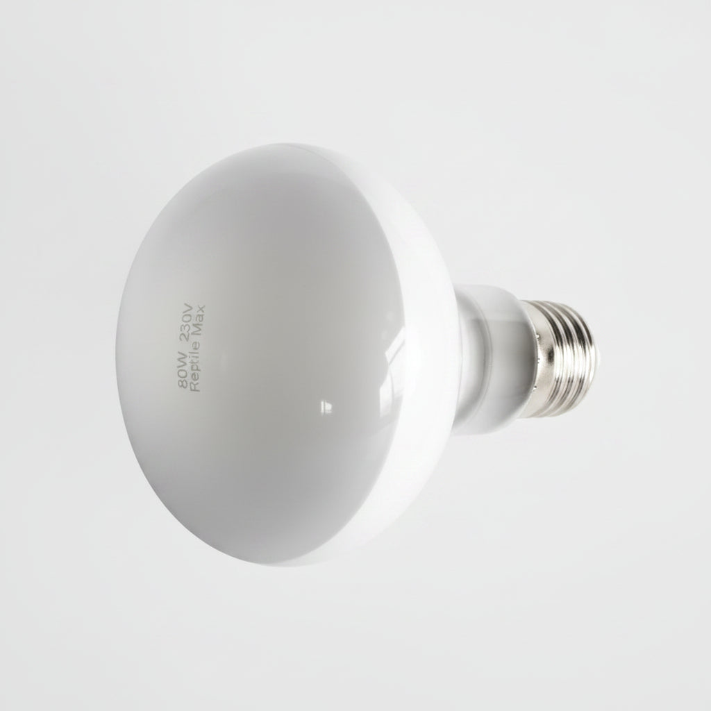 Side view of bulb