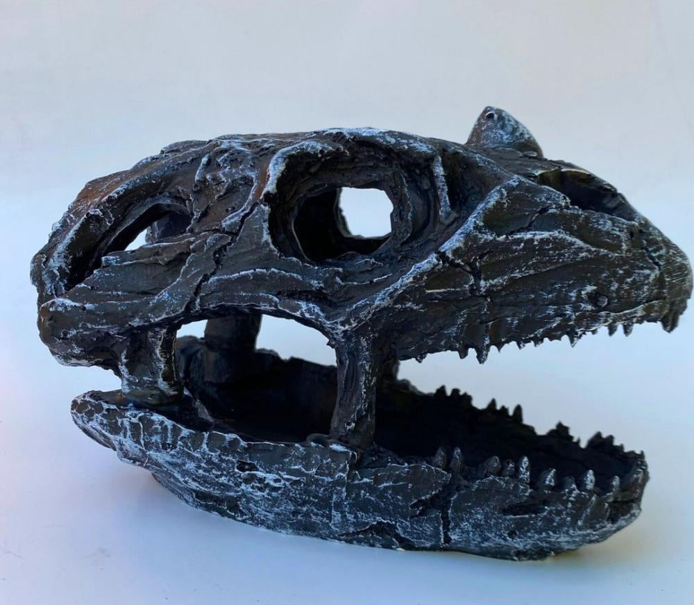 Close-up of realistic fossil details on resin skull