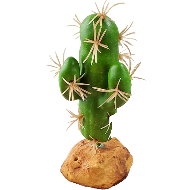 QM-129 Cactus Plant