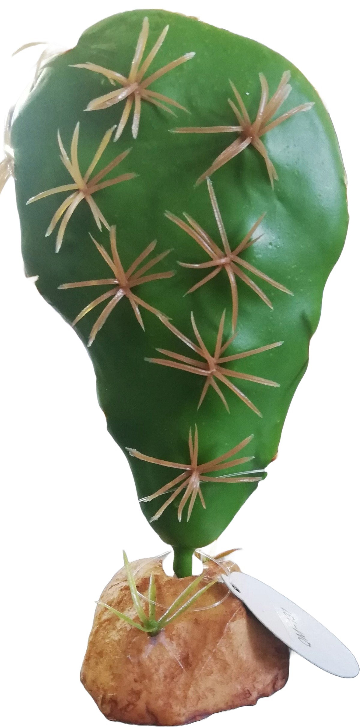 QM-131 Cactus Plant