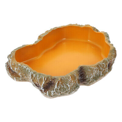 Empty basin ready for substrate or food