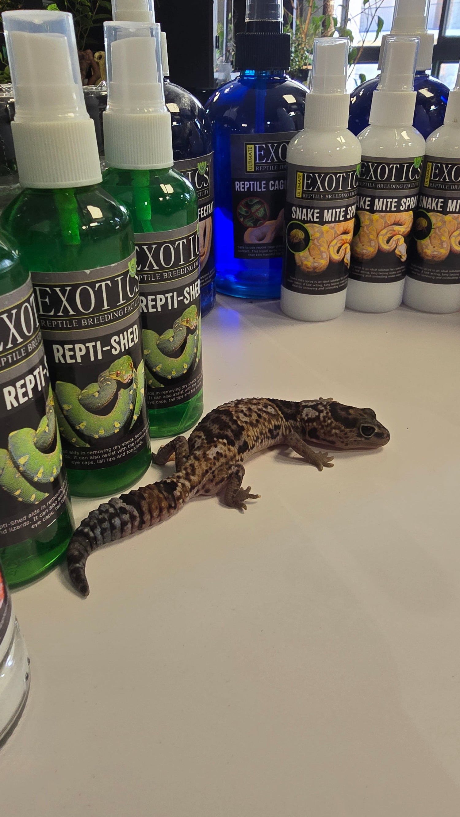Reptile Care products