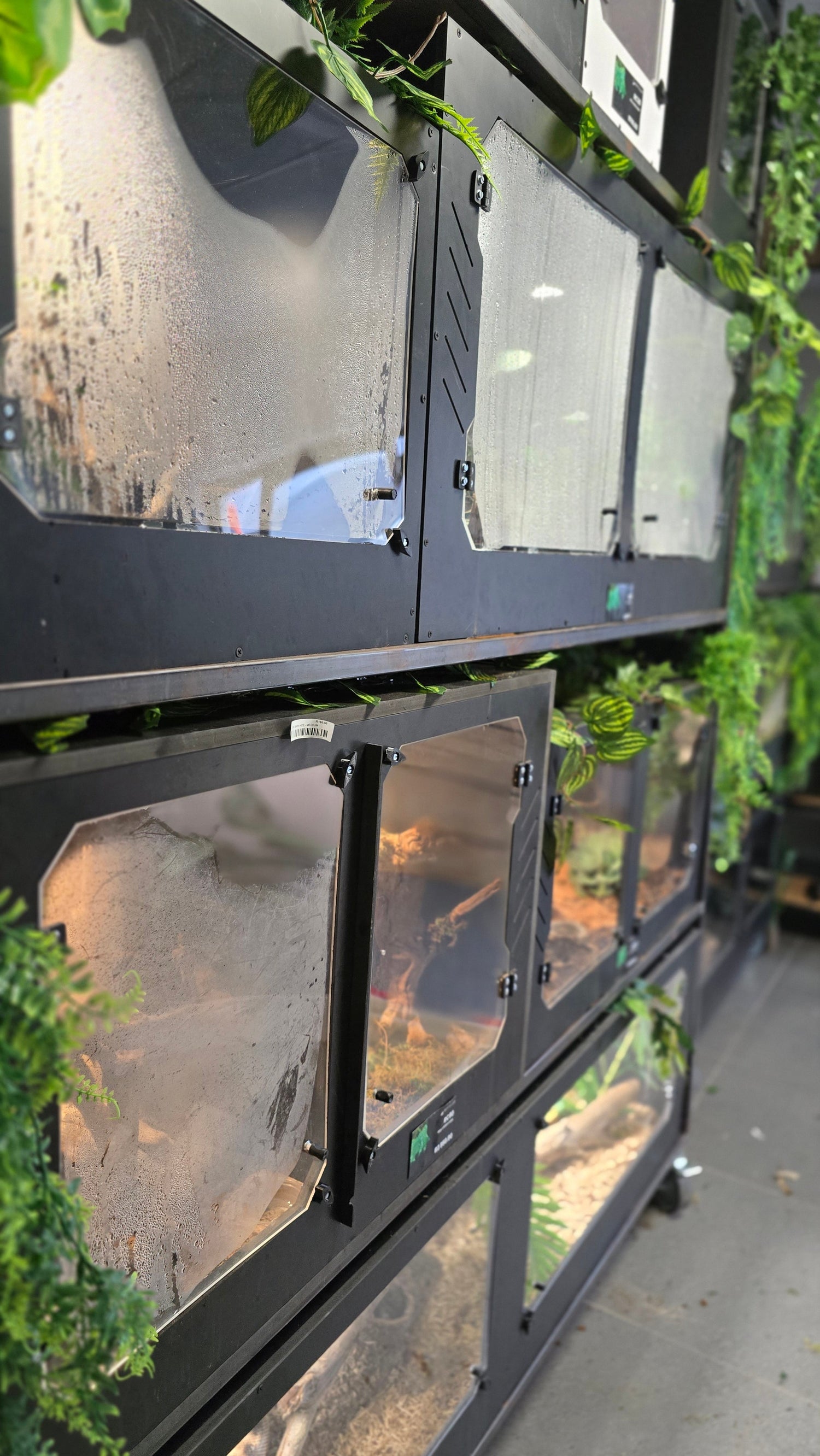 Enclosures for reptiles- Repticube