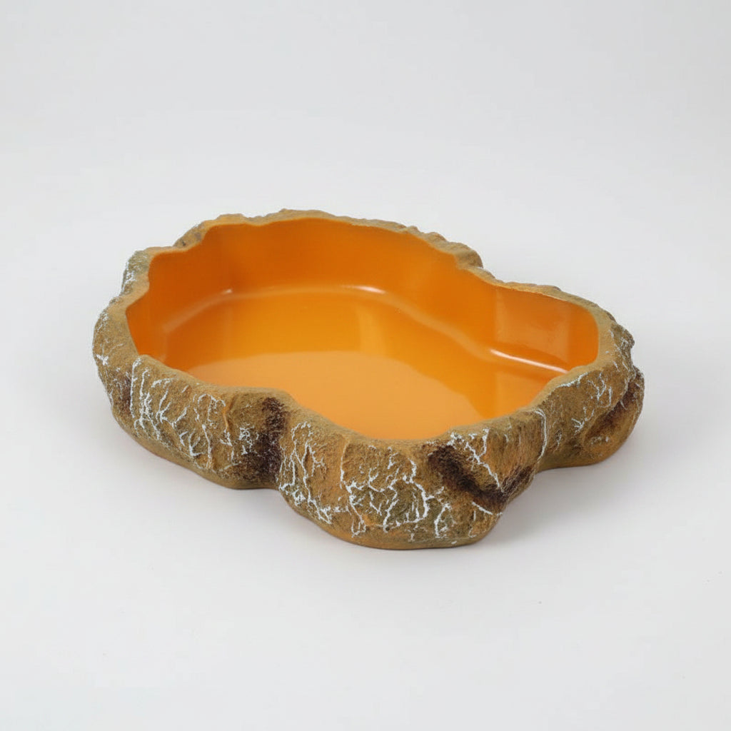 Empty basin ready for substrate or food