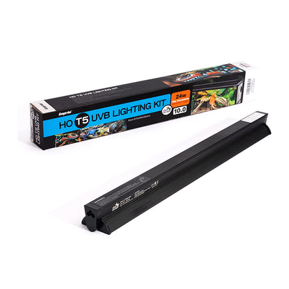 T5 UVB Lighting High output kit