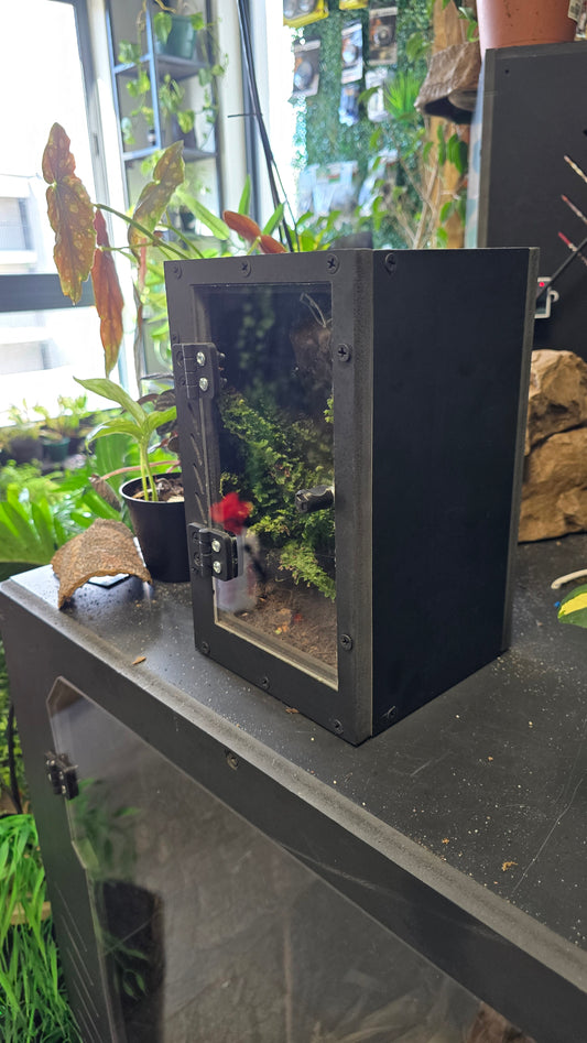 RCG20 Small enclosure aquarium with plants  