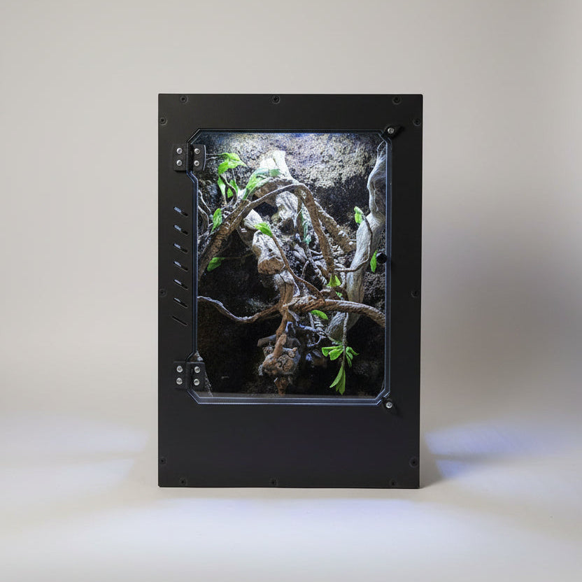 Small PVC reptile terrarium with plants on a white background
