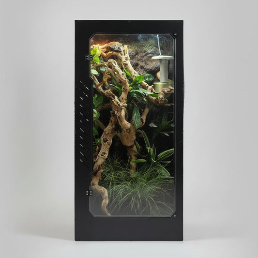 reptile enclosure with plants and decorations on a reflective surface