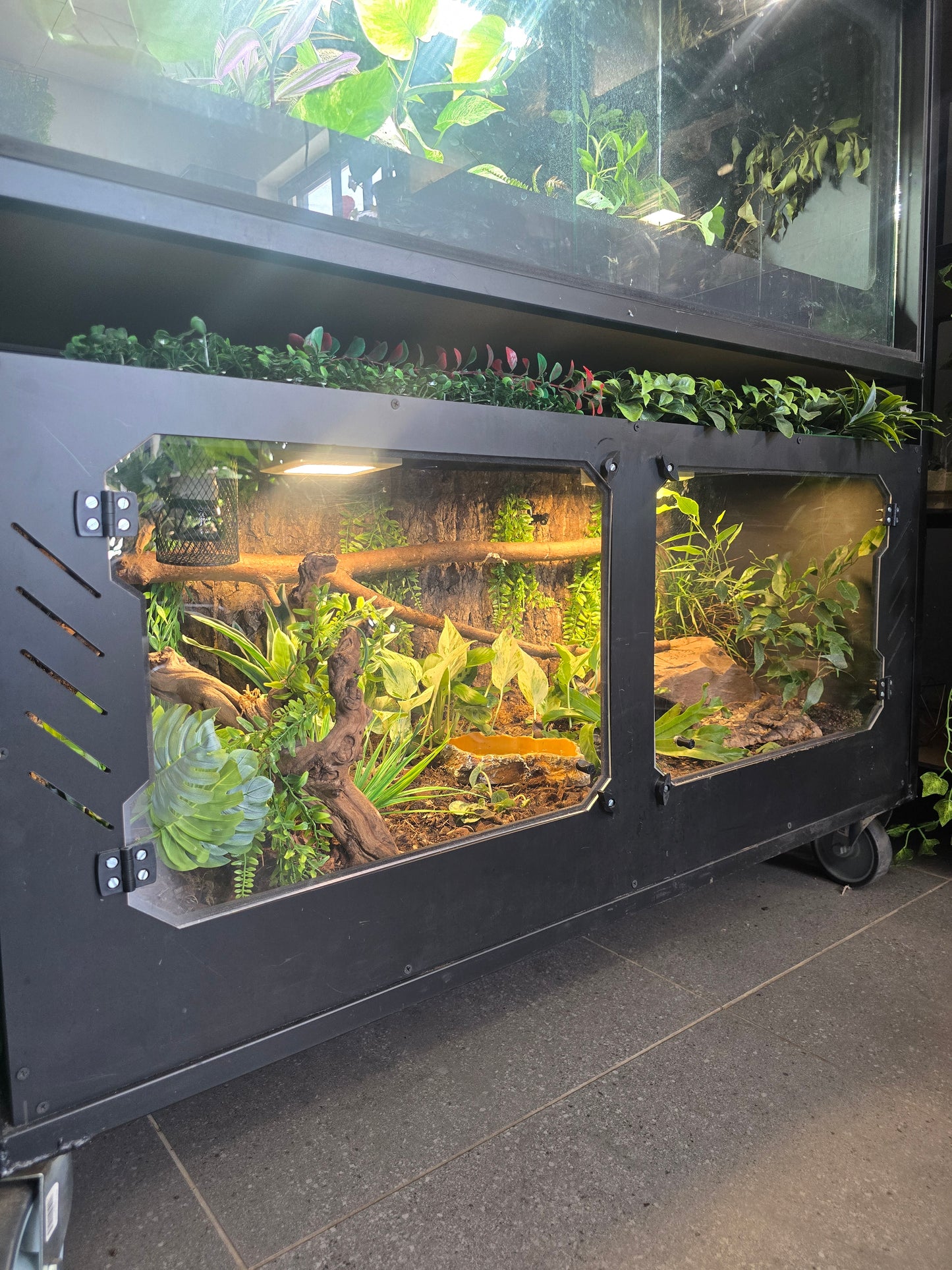 RCB120 Super Special