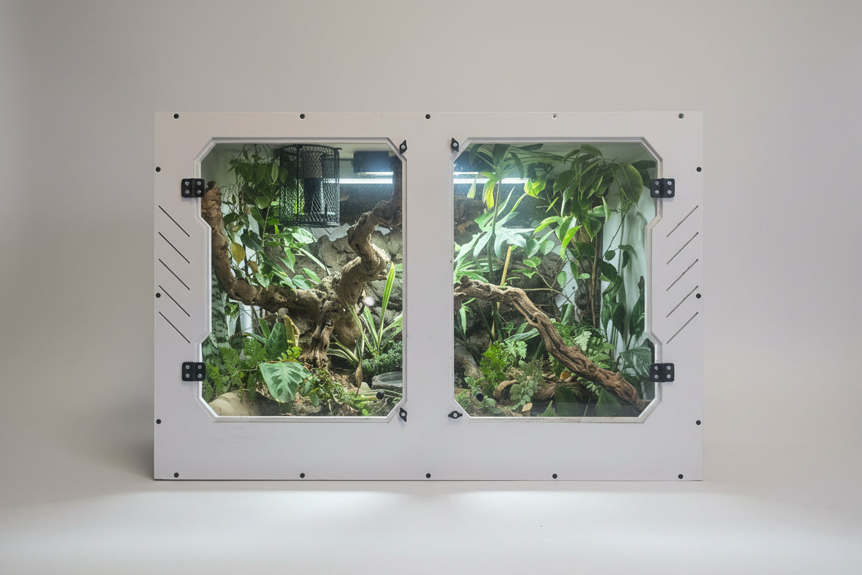 Reptile terrarium with plants and branches on a white background